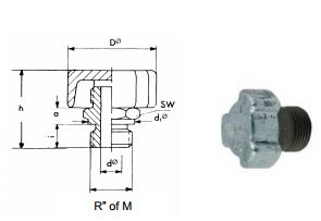 ol554.JPG